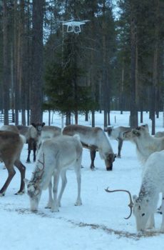 When some are watching the drone, other can concentrate on food in peace. together life is easier and more fun.